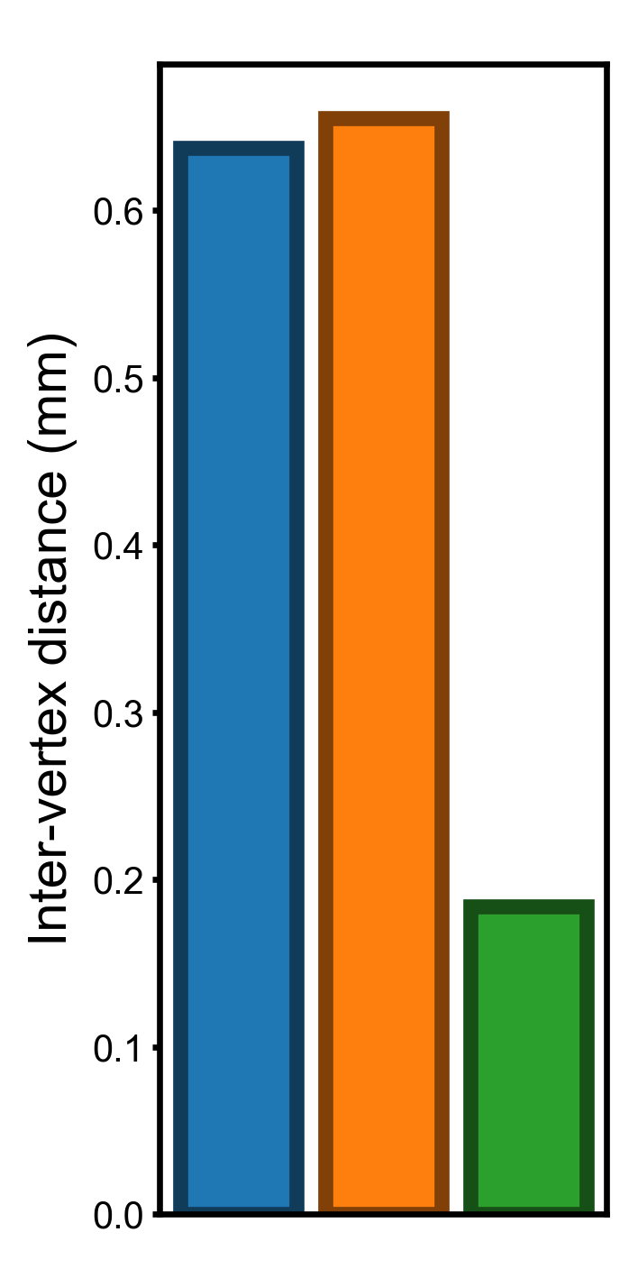 Inter-vertex distance