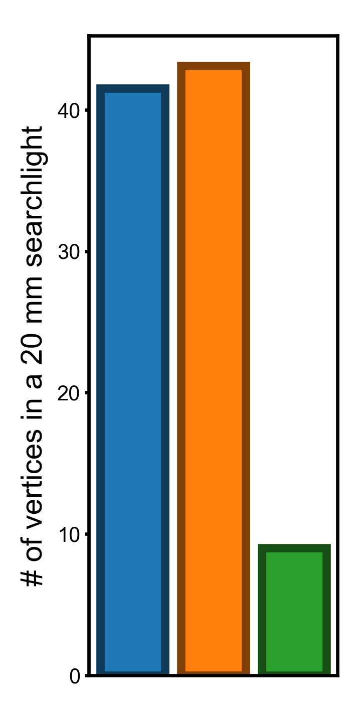 Searchlight vertex count